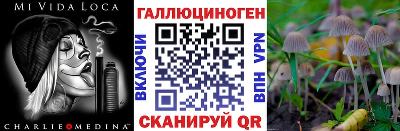 Галлюциногенные грибы MAGIC MUSHROOMS  Якутск 