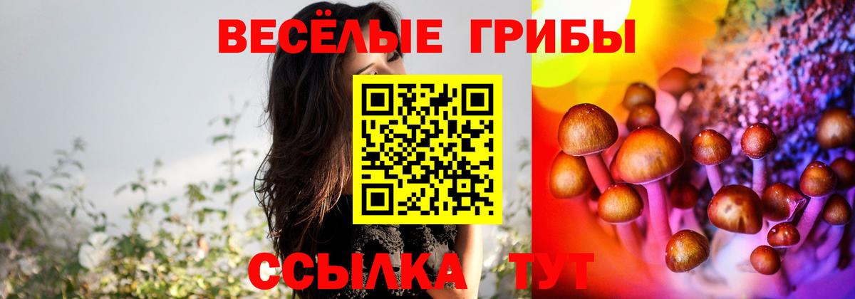Галлюциногенные грибы Psilocybe  Вход с VPN  Якутск 